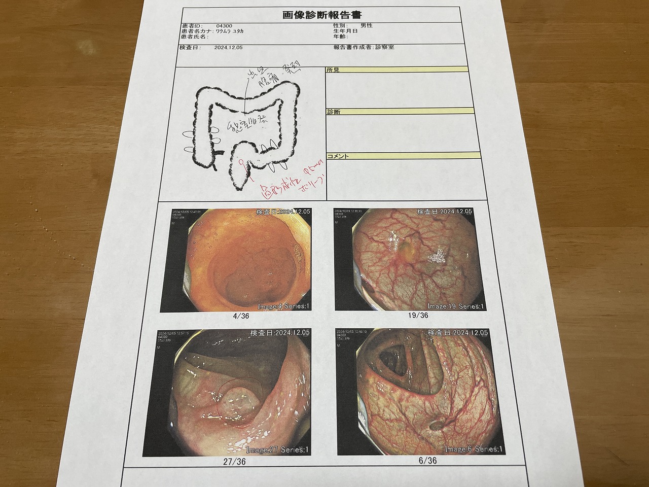 画像の説明