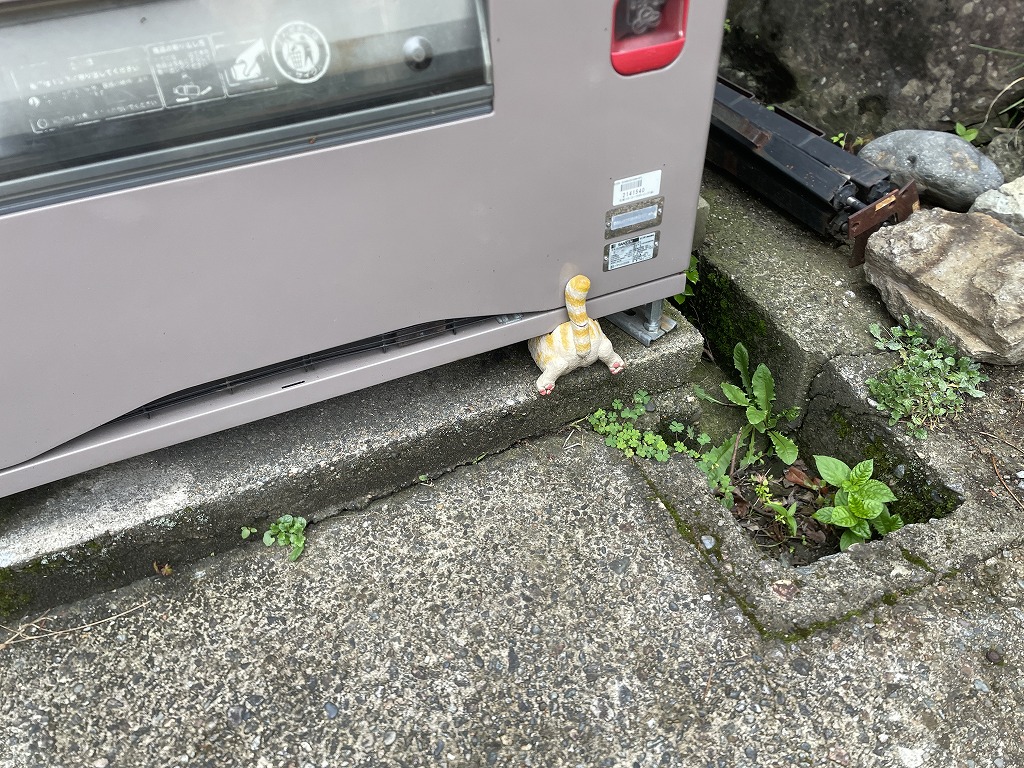 画像の説明