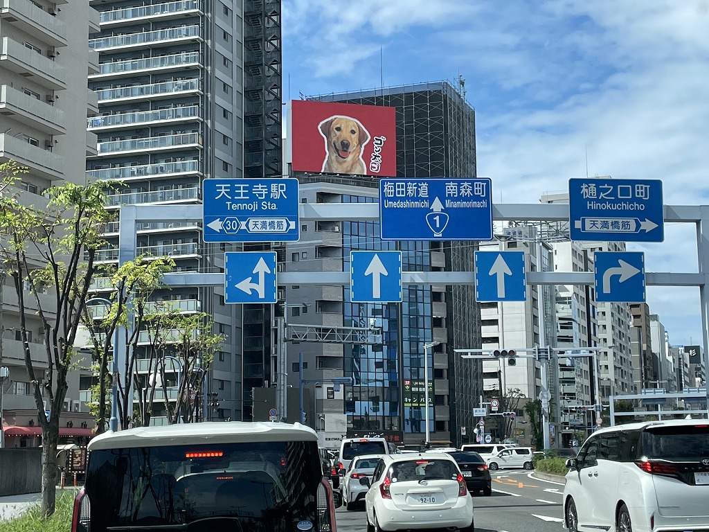 画像の説明
