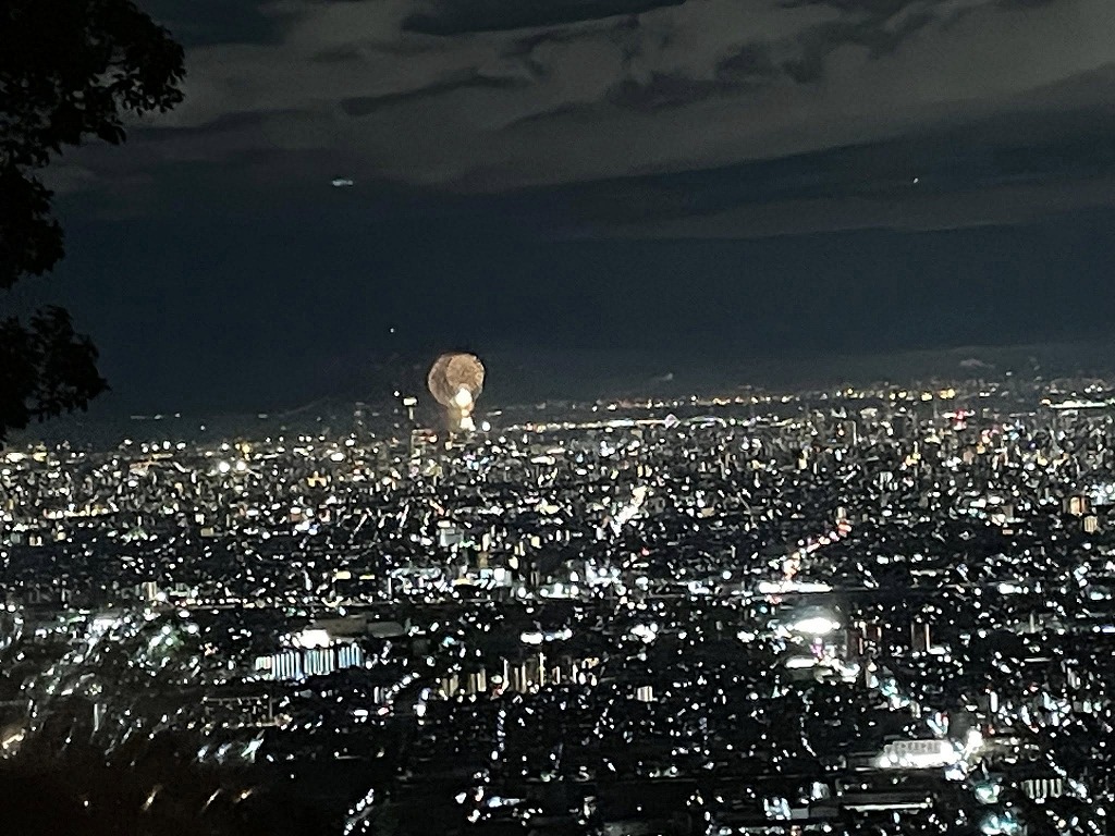 画像の説明