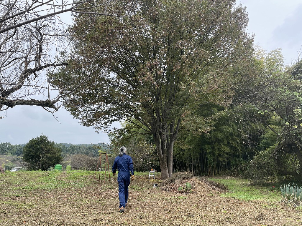 画像の説明 画像の説明