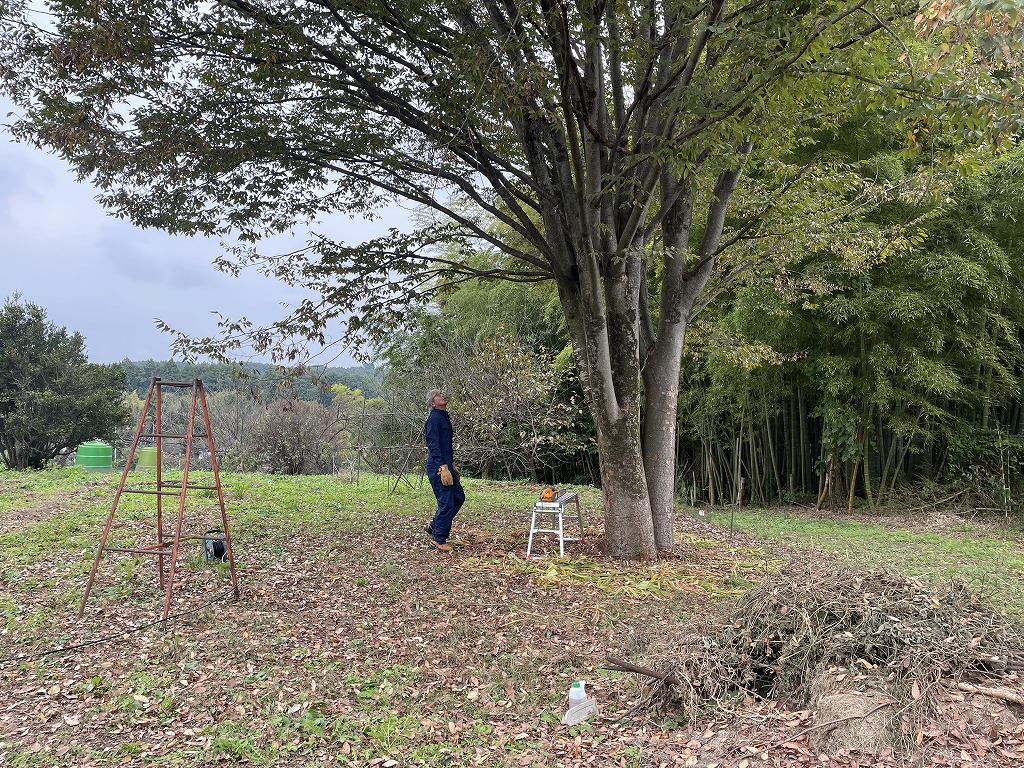 画像の説明 画像の説明