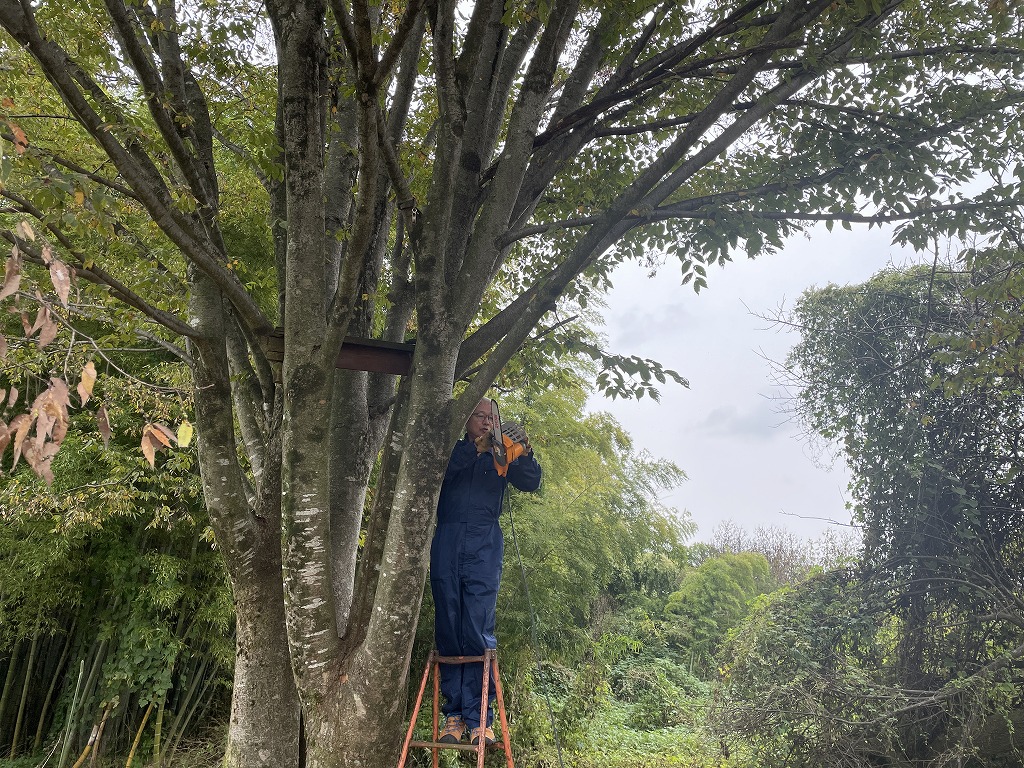 画像の説明 画像の説明