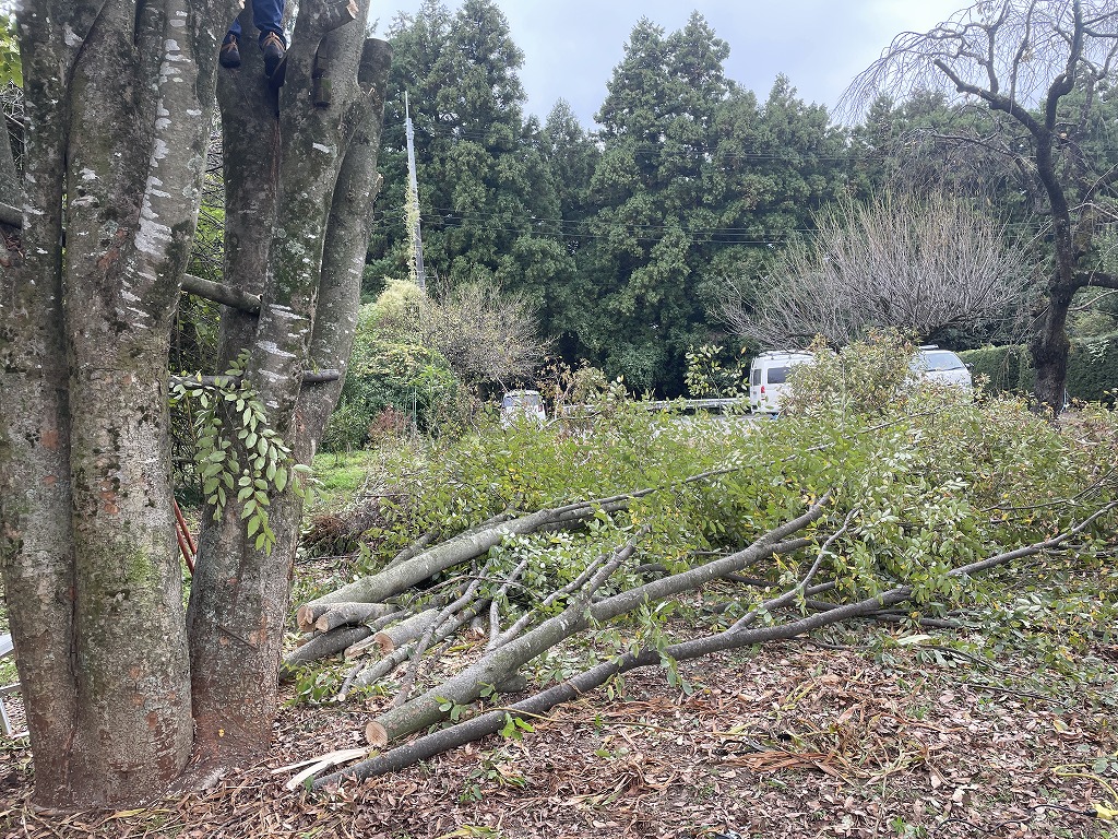 画像の説明 画像の説明