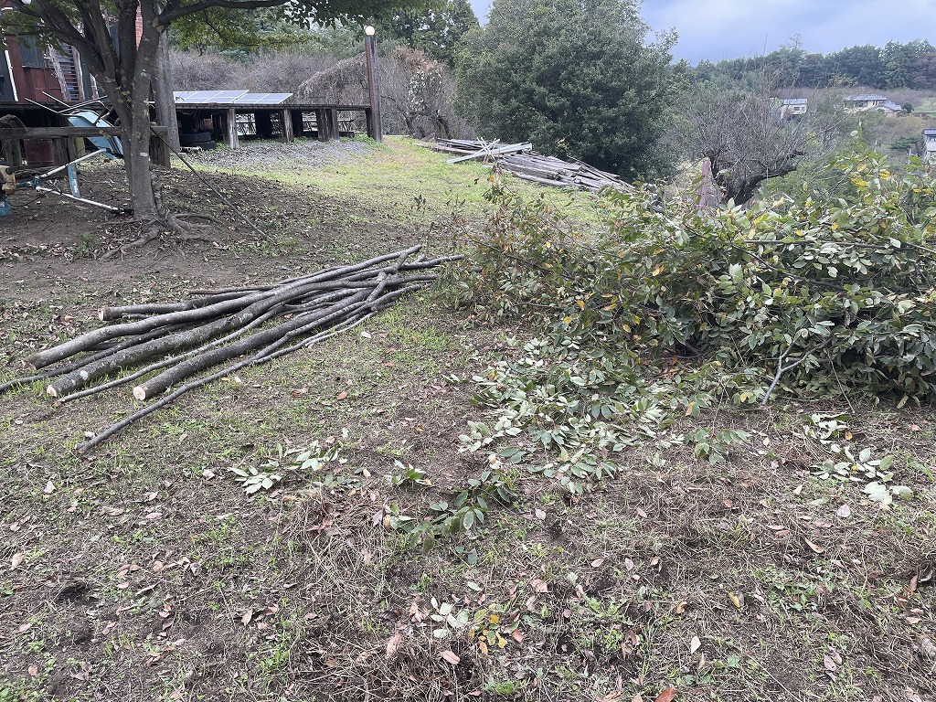 画像の説明 画像の説明