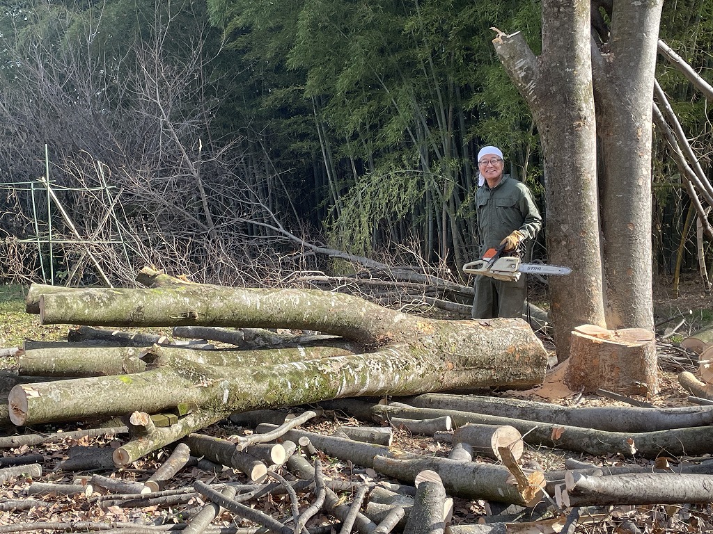 画像の説明 画像の説明