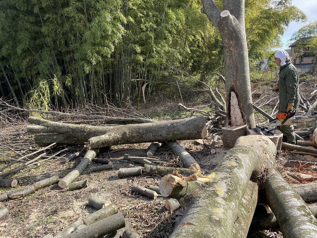 画像の説明 画像の説明