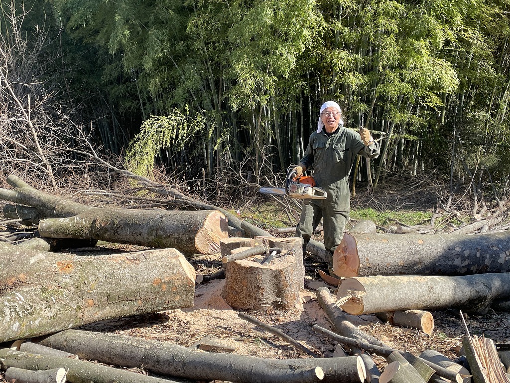 画像の説明 画像の説明