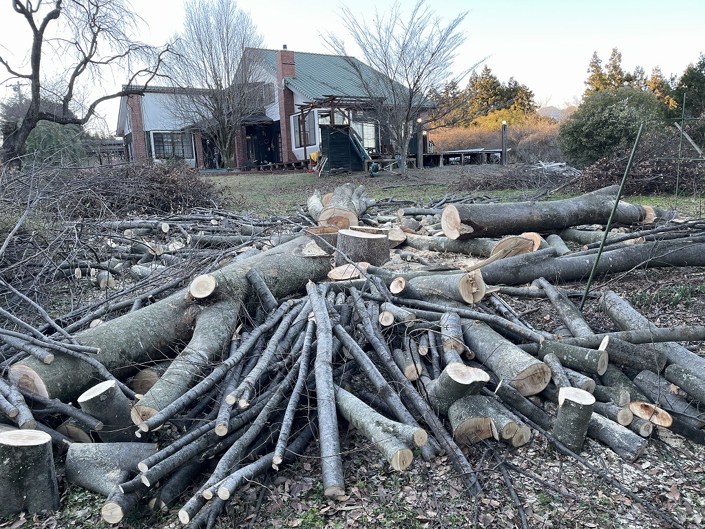 画像の説明 画像の説明