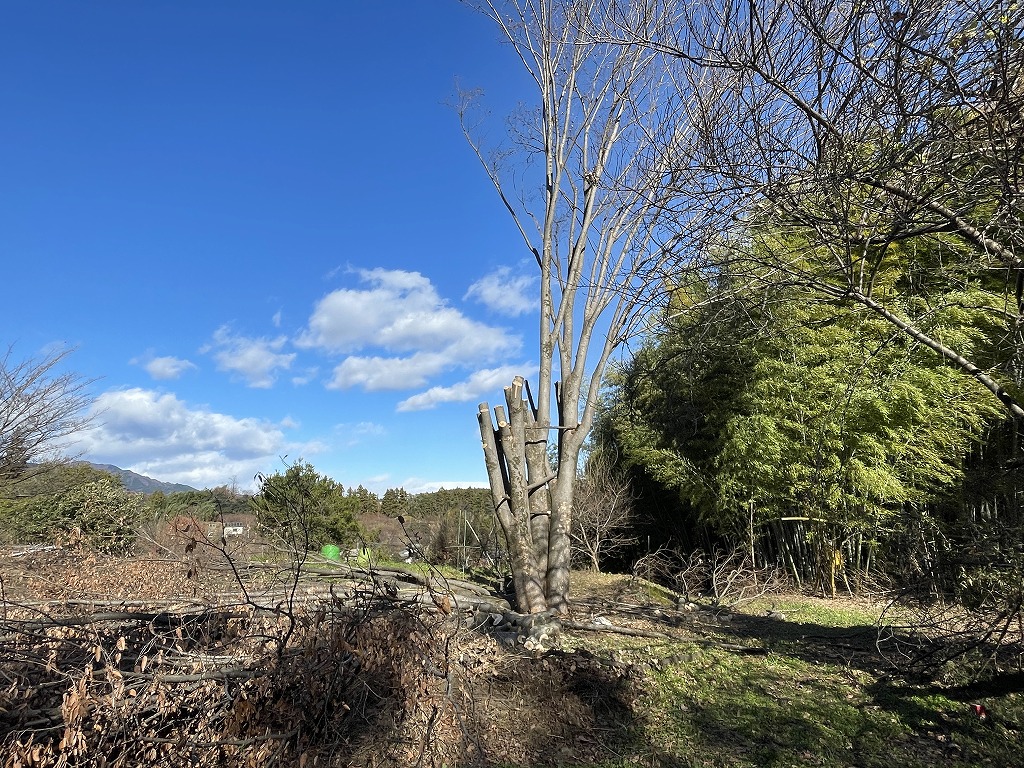 画像の説明 画像の説明