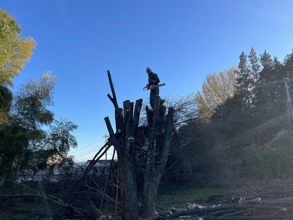 画像の説明 画像の説明