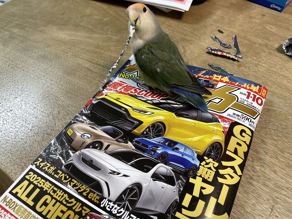 画像の説明 画像の説明