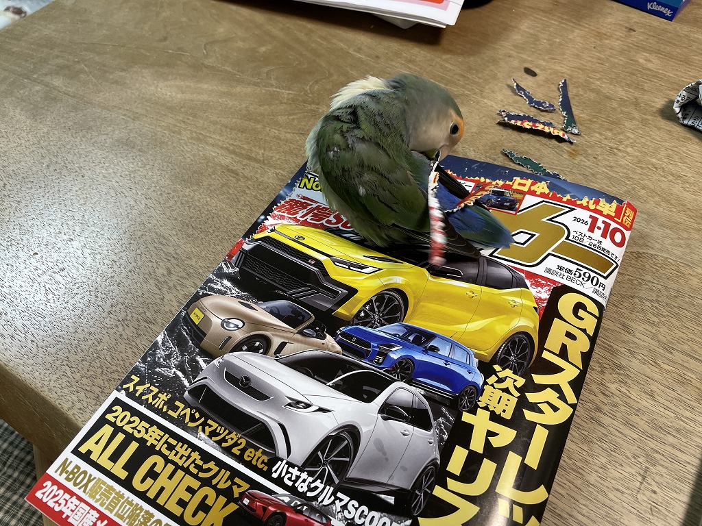 画像の説明 画像の説明