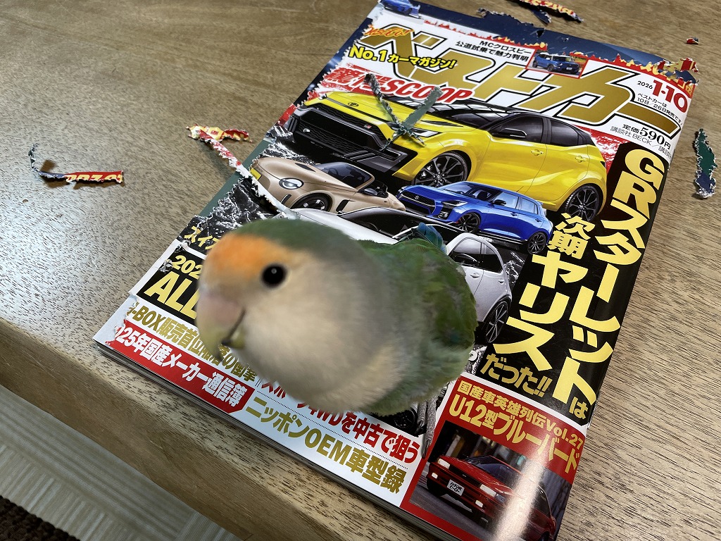 画像の説明 画像の説明