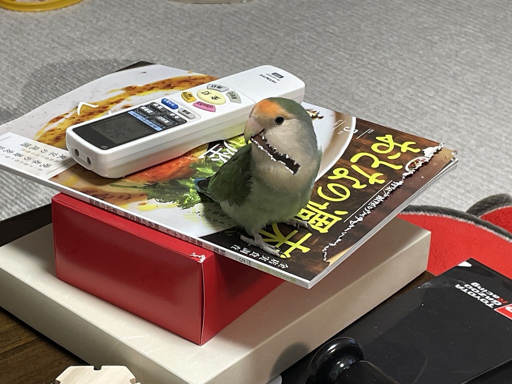 画像の説明 画像の説明