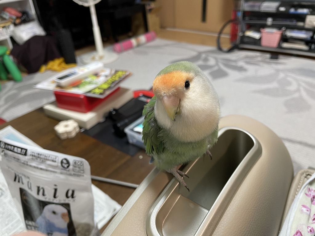 画像の説明 画像の説明